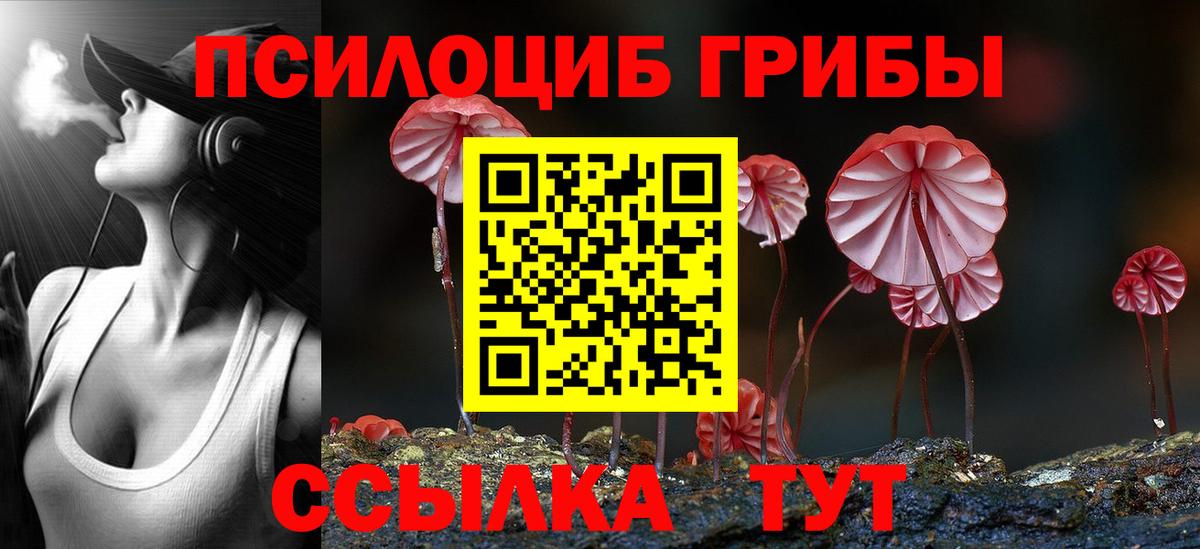 Псилоцибиновые грибы GOLDEN TEACHER  Вход с VPN  Галлюциногенные грибы MAGIC MUSHROOMS  Копейск 
